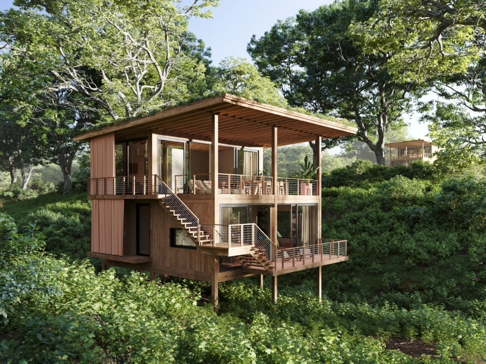 Morgan’s Rock Sanctuary