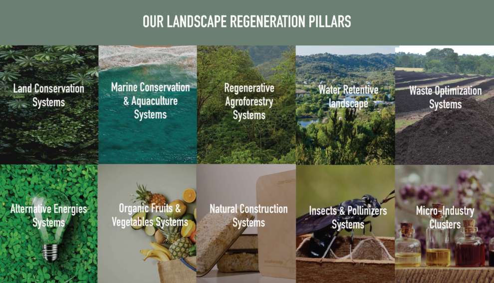 Morgan’s Rock Sanctuary